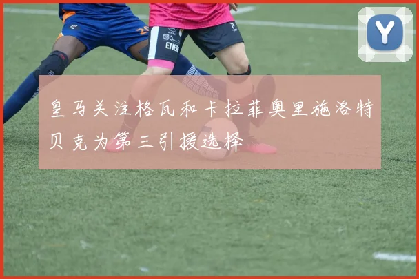 皇马关注格瓦和卡拉菲奥里施洛特贝克为第三引援选择