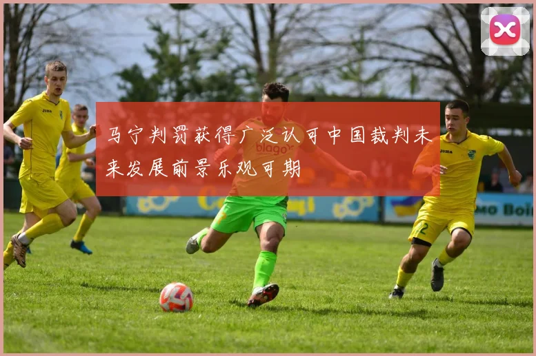 马宁判罚获得广泛认可中国裁判未来发展前景乐观可期